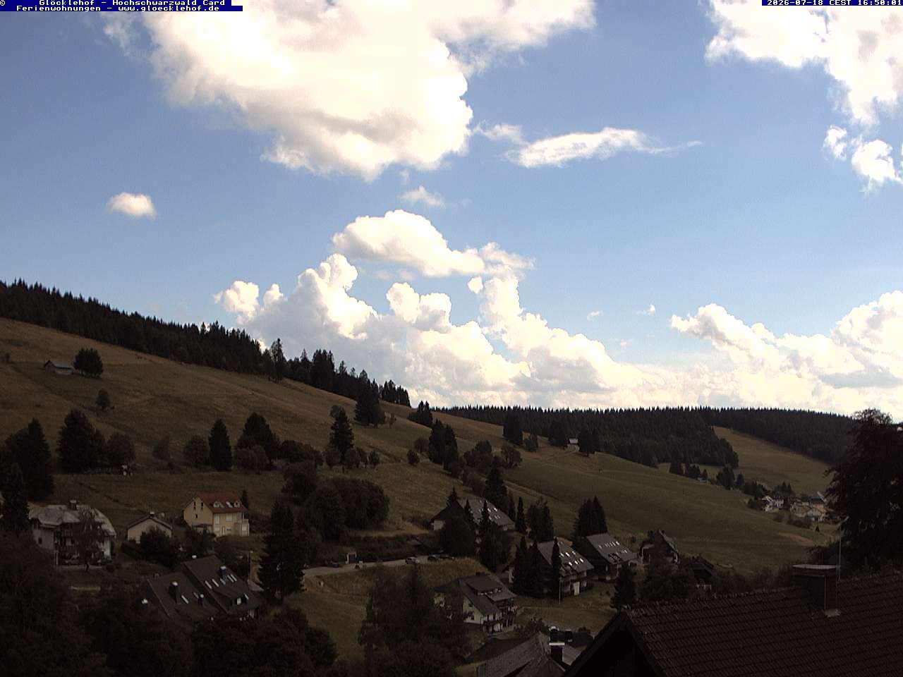 Livebild der Webcam Todtnauberg Webcam Todtnauberg