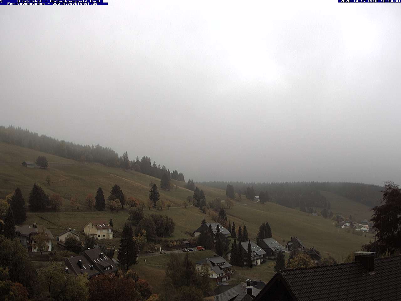 Livebild der Webcam Todtnauberg Webcam Todtnauberg