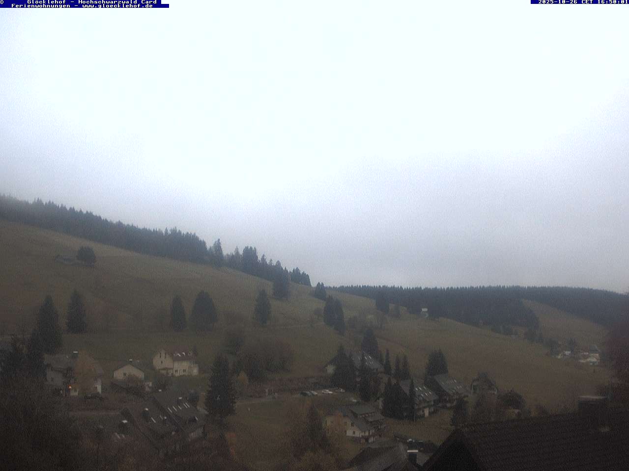 Livebild der Webcam Todtnauberg Webcam Todtnauberg