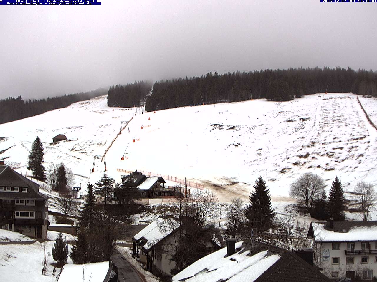 Live image Live image