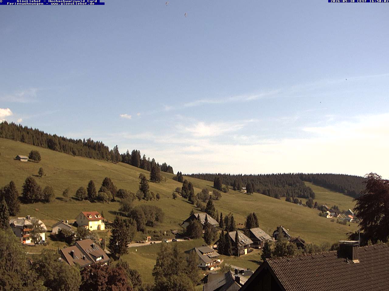 Livebild der Webcam Todtnauberg Webcam Todtnauberg