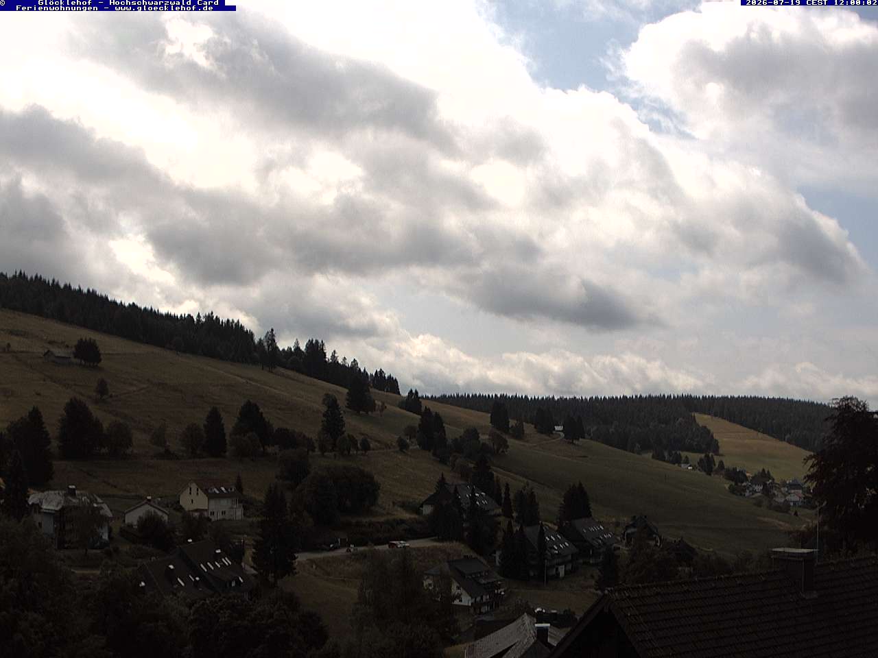 Live image Live image