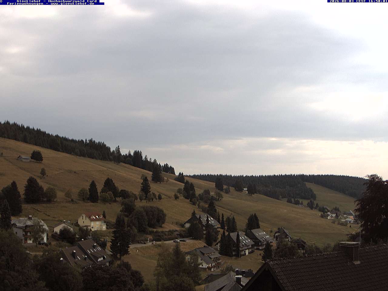 Livebild der Webcam Todtnauberg Webcam Todtnauberg