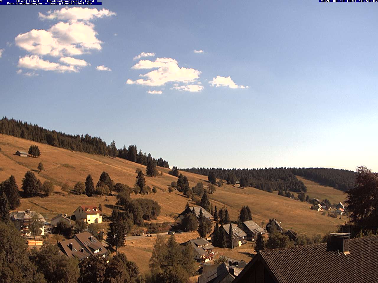Live image Live image