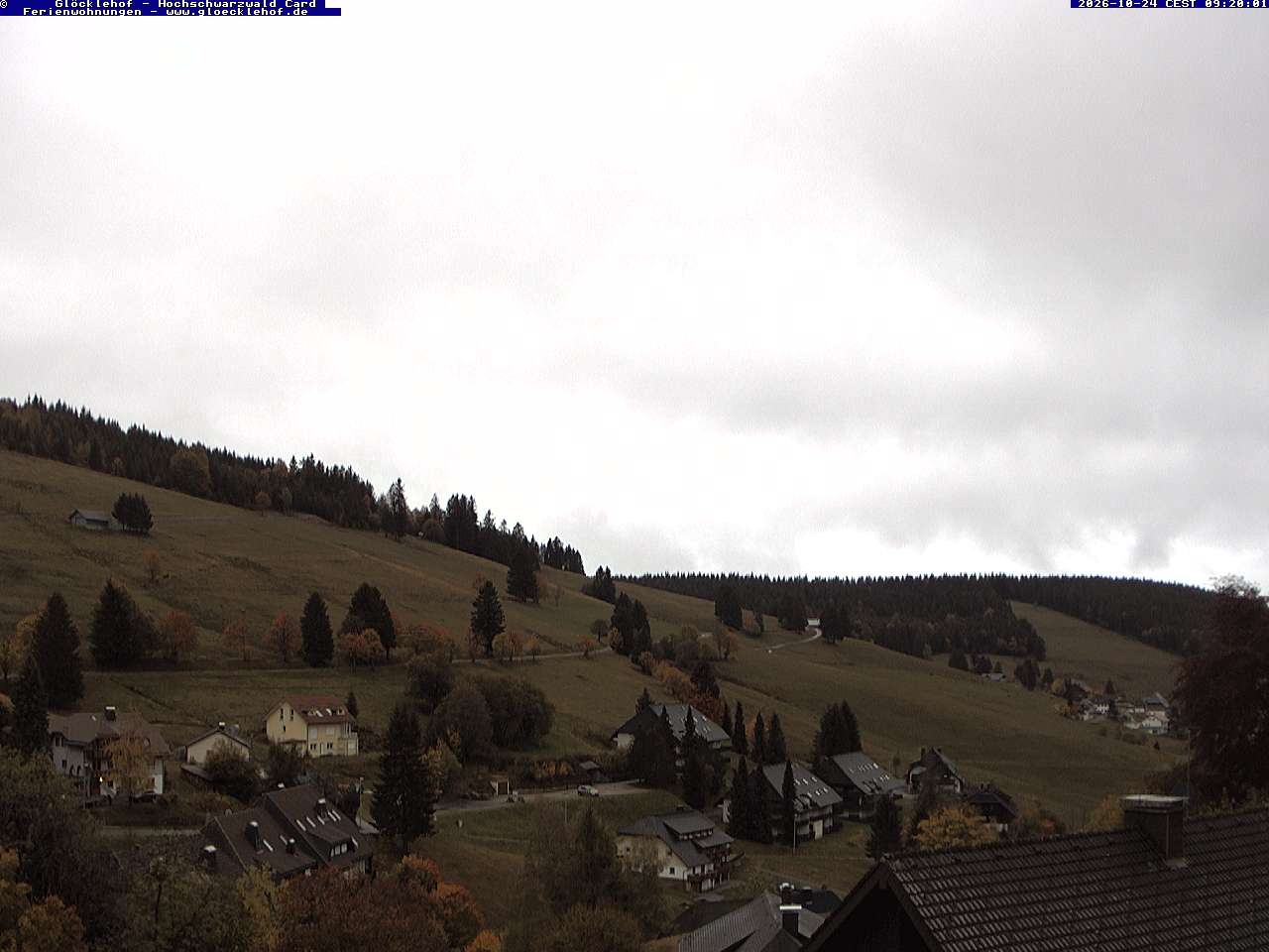 Livebild der Webcam Todtnauberg Webcam Todtnauberg