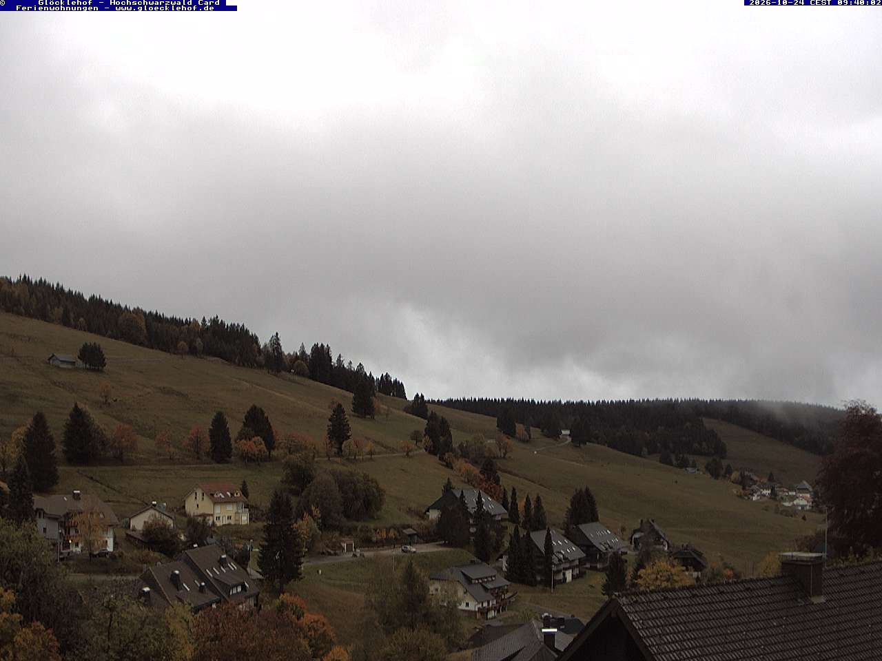 Livebild der Webcam Todtnauberg Webcam Todtnauberg