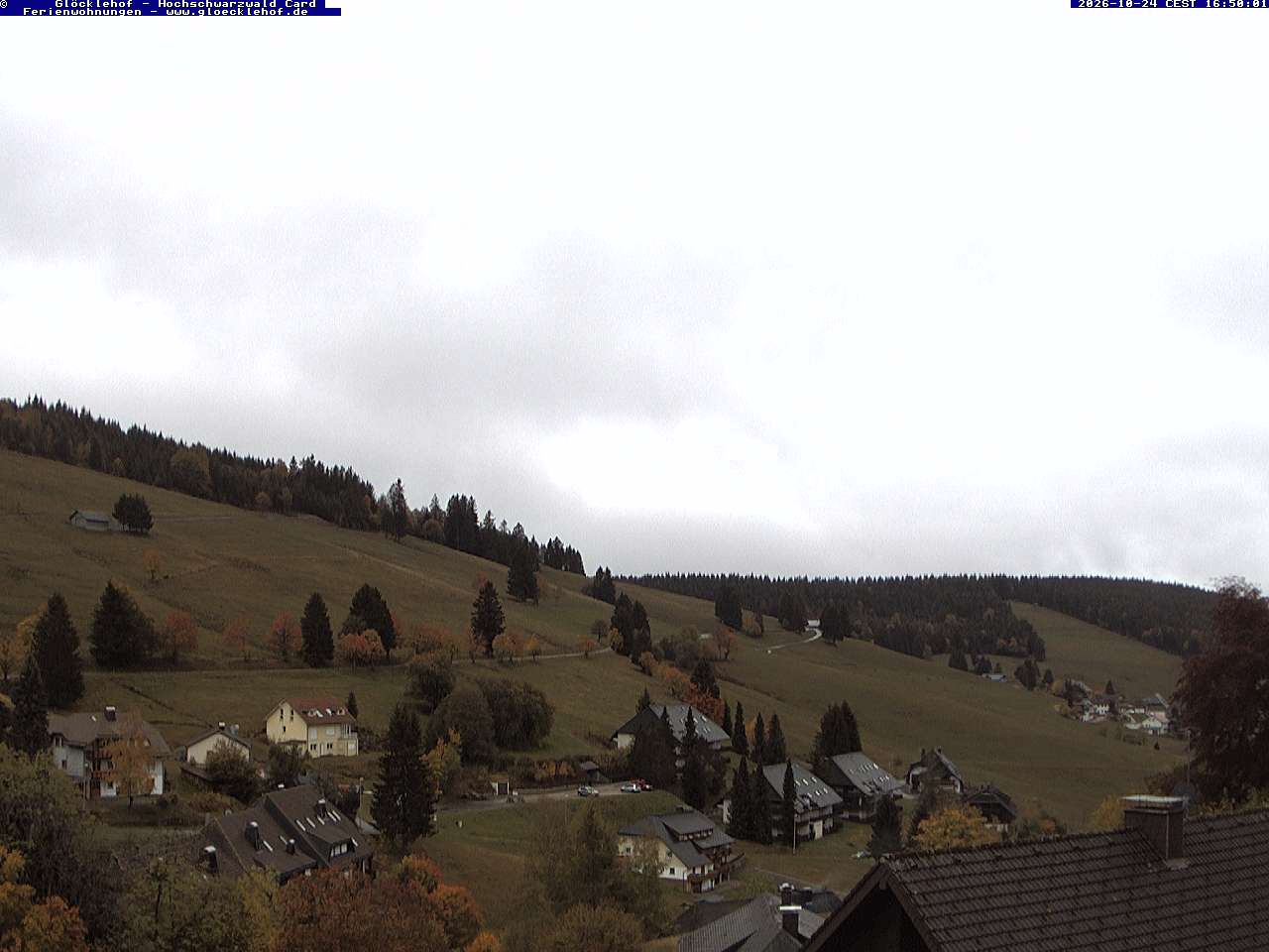 Livebild der Webcam Todtnauberg Webcam Todtnauberg