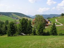 Natur im Schwarzwald