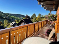 Relaxen auf der Sonnenterrasse Ferienwohnung Belchen Terasse