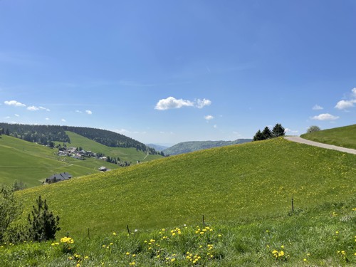 Natur im Schwarzwald